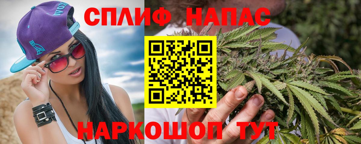 Каннабис OG Kush Кисловодск